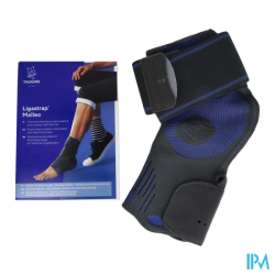 Chevil ligastrap malleo v2 t3 - La Grande Pharmacie