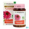 ARKOG ECHINACEE BIO GELUL 45