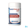 ERGYPHILUS GST GELULE 60
