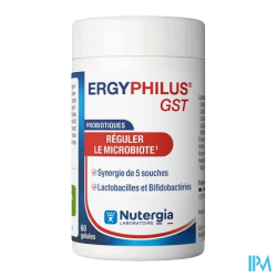 ERGYPHILUS GST GELULE 60
