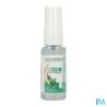 NATURACTIVE BRUME ESSENCE 15ML