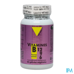VIT ALL+ VIT B12 B9 GELUL 60