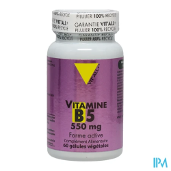 VIT ALL+ VIT B5 550MG GELUL 60