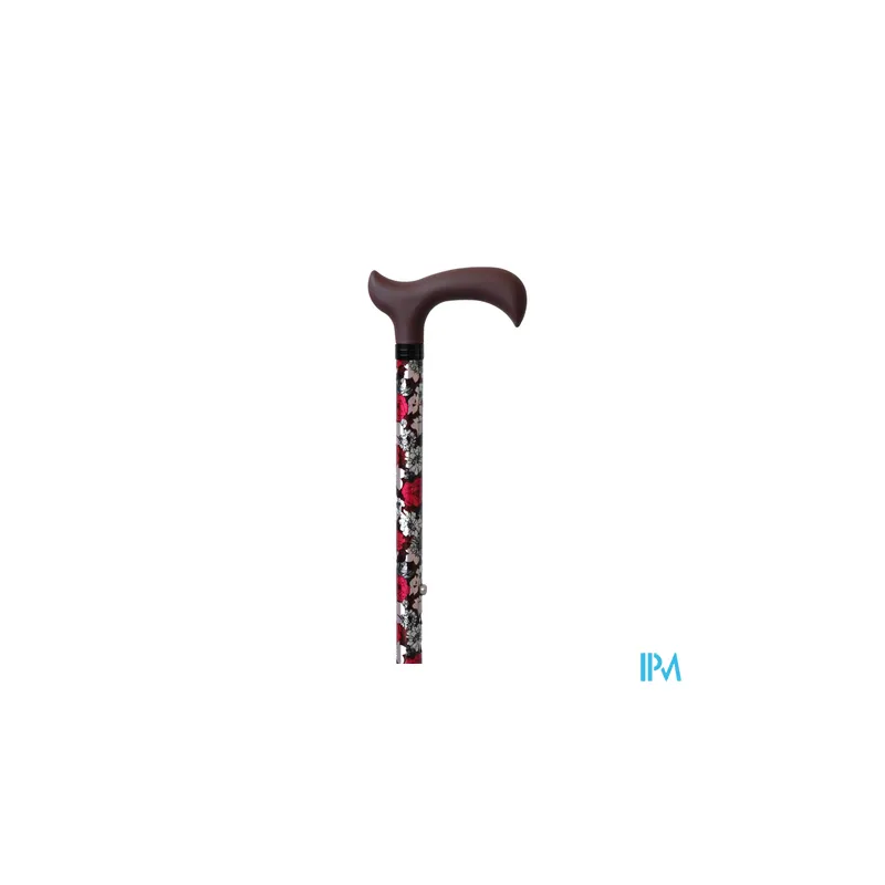 HERDEG CANNE DERBY FLOWER 255823