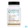 COLLAGENE MARIN LESCUYER GELUL 60