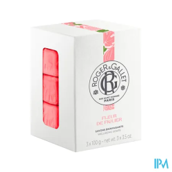 RG SAV PARF FLEUR FIGUIER 100G X3