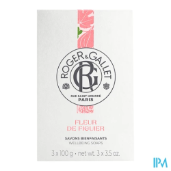 RG SAV PARF FLEUR FIGUIER 100G X3