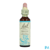 FL BACH ORIGINAL BEECH 20ML