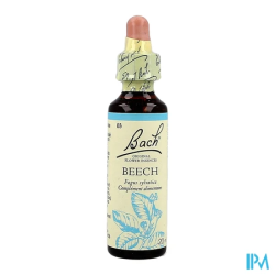 FL BACH ORIGINAL BEECH 20ML