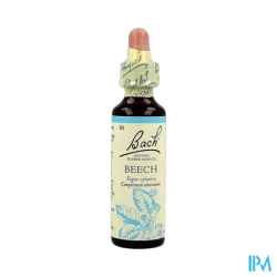 FL BACH ORIGINAL BEECH 20ML