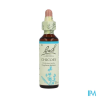 FL BACH ORIGINAL CHICORY 20ML