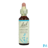 FL BACH ORIGINAL CHICORY 20ML