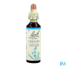 FL BACH ORIGINAL CHICORY 20ML