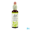 FL BACH ORIGINAL CLEMATIS 20ML