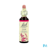 FL BACH ORIGINAL ELM 20ML