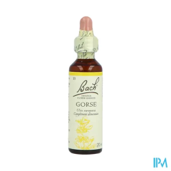 FL BACH ORIGINAL GORSE 20ML