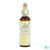 FL BACH ORIGINAL GORSE 20ML