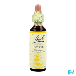 FL BACH ORIGINAL GORSE 20ML