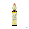 FL BACH ORIGINAL GORSE 20ML