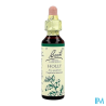 FL BACH ORIGINAL HOLLY 20ML