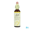 FL BACH ORIGINAL HORNBEAM 20ML