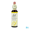 FL BACH ORIGINAL HORNBEAM 20ML