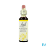FL BACH ORIGINAL HORNBEAM 20ML