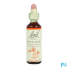 FL BACH ORIGINAL ROCK ROSE 20ML