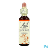 FL BACH ORIGINAL ROCK ROSE 20ML