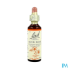 FL BACH ORIGINAL ROCK ROSE 20ML
