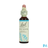 FL BACH ORIGINAL ROCK WATER 20ML