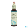 FL BACH ORIGINAL ROCK WATER 20ML