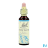 FL BACH ORIGINAL ROCK WATER 20ML