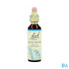 FL BACH ORIGINAL ROCK WATER 20ML