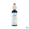 FL BACH ORIGINAL VERVAIN 20ML