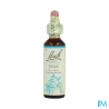 FL BACH ORIGINAL VINE 20ML