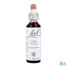 FL BACH ORIGINAL VINE 20ML