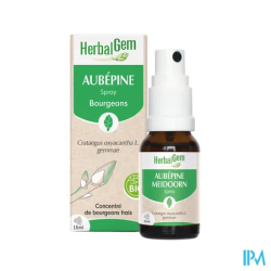 HERBALGEM AUBEPINE BIO SPR 15ML