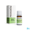 PRANAROM HE MELISSE OFFICINALE 5ML