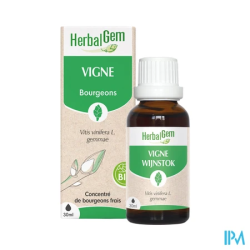 HERBALGEM MACER MER BIO VIGNE 30ML