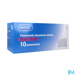 PANS AMERIC ALIVTA ABS 20X25CM 10