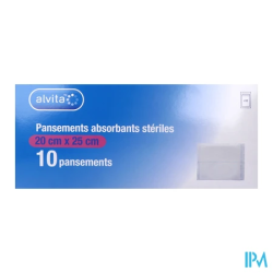 PANS AMERIC ALIVTA ABS 20X25CM 10