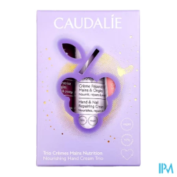 CAUDALIE COFF VINOTHERAP CR MAIN