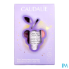 CAUDALIE COFF VINOTHERAP CR MAIN