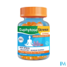 EUPHYTOSE STRESS SAFRAN GOMMES 30