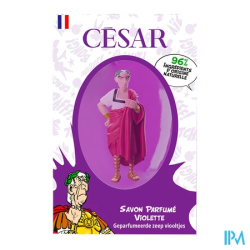 COMP BAIN SAV ASTERIX VIOLETTE 75G