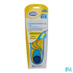 SCHOLL SEMEL EXPERT CHAUS DECON T2