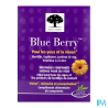 BLUE BERRY CPR 60