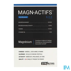 SYNACTIFS MAGNACTIFS GELUL 60