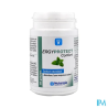 ERGYPROTECT CONFORT GELUL 60